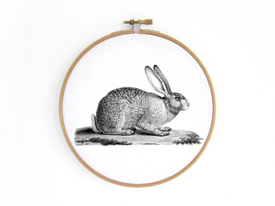 Renna Deluxe Hase _ Bild im Stickrahmen
