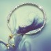 Silberdream SilberDream Armband Perlen diamantiert 925er Sterling Silber Damen SDA7004T Angebote