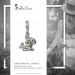 Silberdream SilberDream 925 Charm Wassermann Sternzeichen Anhänger FC7102 Verkauf